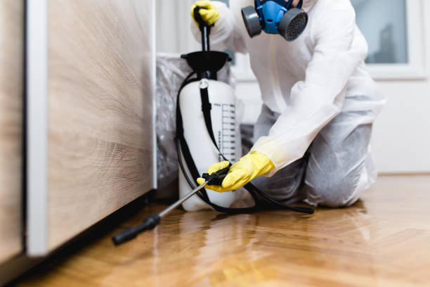 Best Commercial Pest Control Services  in Coraopolis, PA