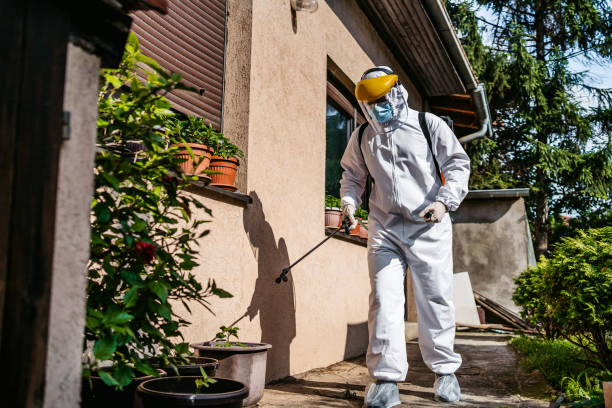 Reliable Coraopolis, PA Pest Control Solutions