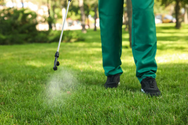 Best Termite Control Services  in Coraopolis, PA