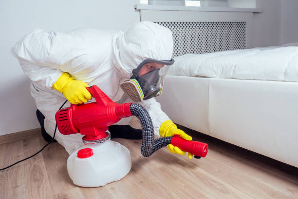 Wildlife Control Services in Coraopolis, PA