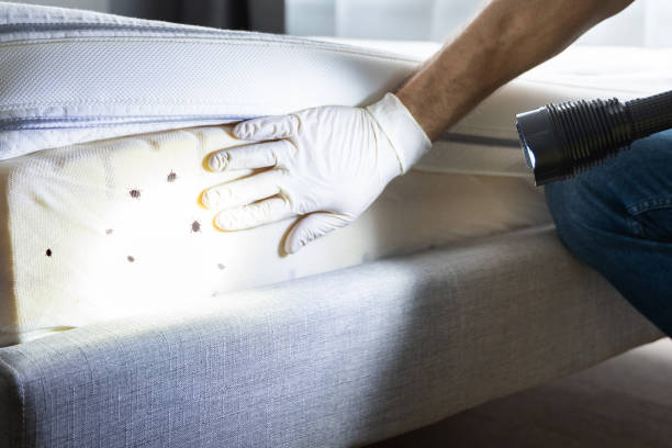 Best Pest Removal Services  in Coraopolis, PA