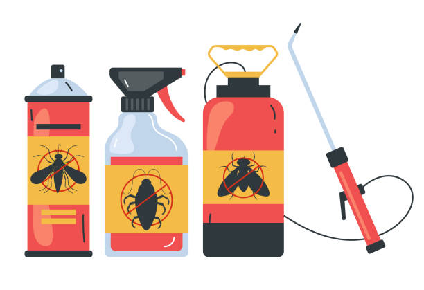 Best Wasp Removal Services  in Coraopolis, PA