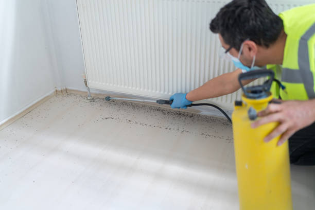 Best Pest Control Near Me  in Coraopolis, PA